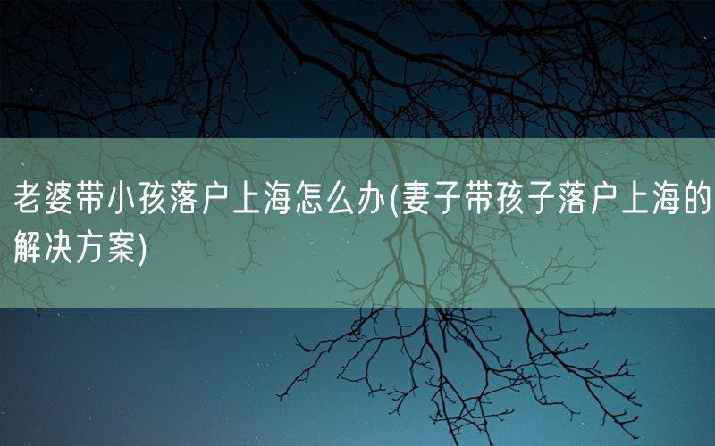 老婆带小孩落户上海怎么办(妻子带孩子落户上海的解决方案)