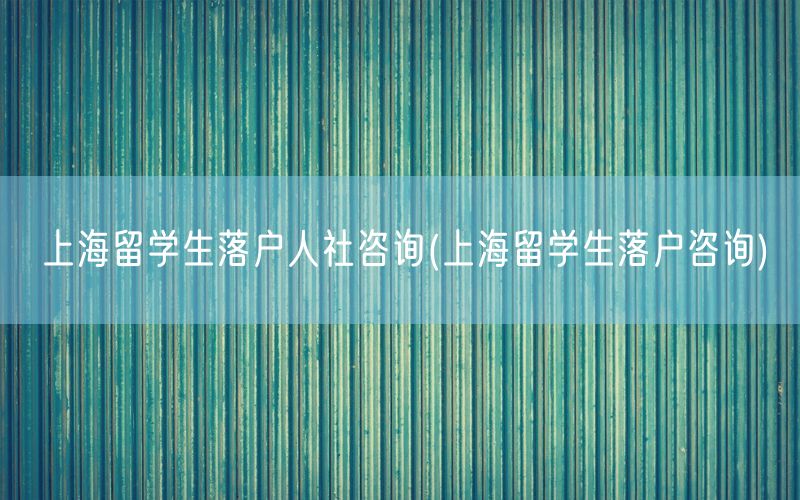 上海留学生落户人社咨询(上海留学生落户咨询)