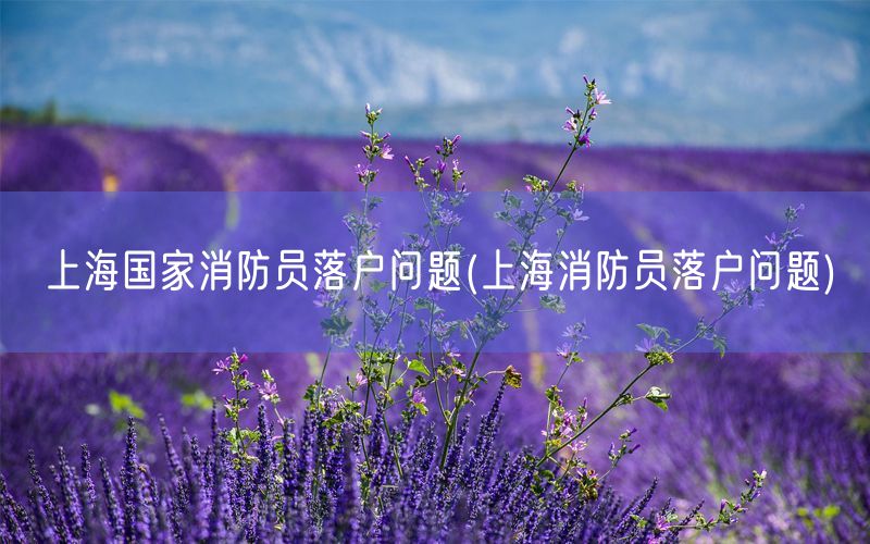 上海国家消防员落户问题(上海消防员落户问题)