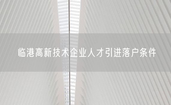 临港高新技术企业人才引进落户条件